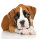 iStock